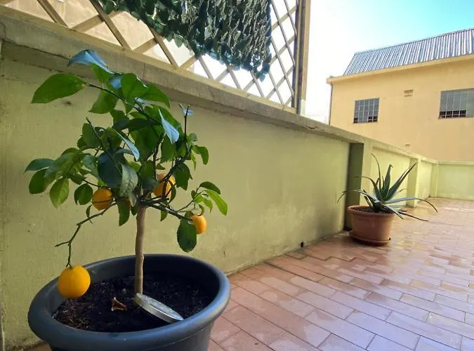 Home Fiumara